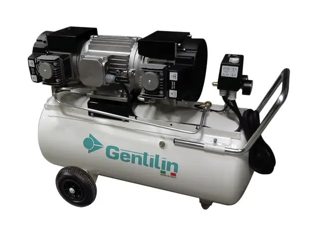 Gentilin ES480-100, støjdæmpet, oliefri