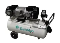 Gentilin ES480-100, støjdæmpet, oliefri (380V)